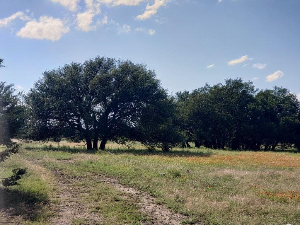 2,819.4 acres in Lampasas County - photo 12