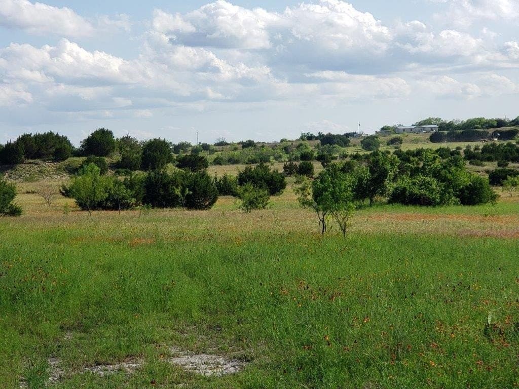 2,819.4 acres in Lampasas County - photo 8