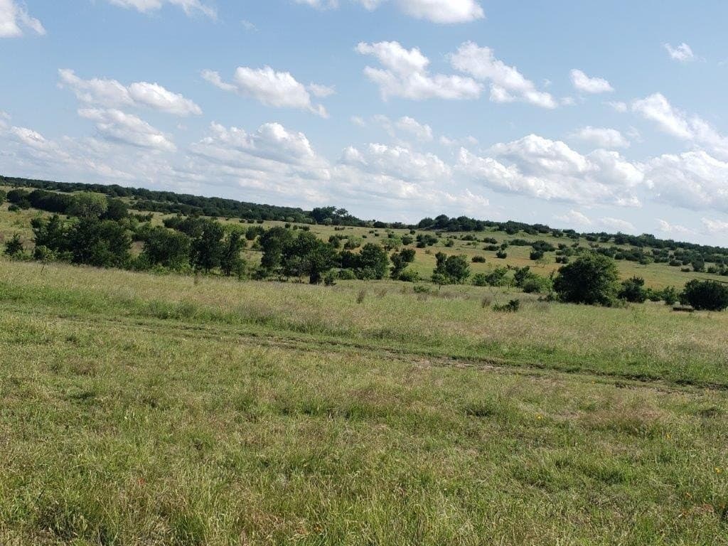 2,819.4 acres in Lampasas County - photo 10