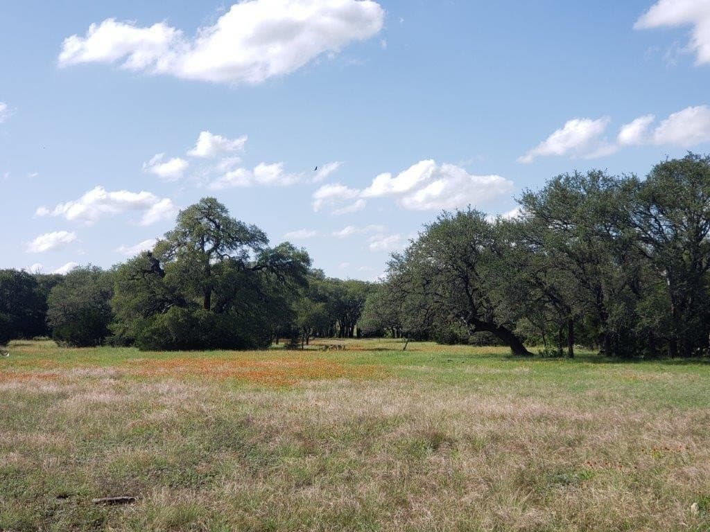 2,819.4 acres in Lampasas County - photo 11