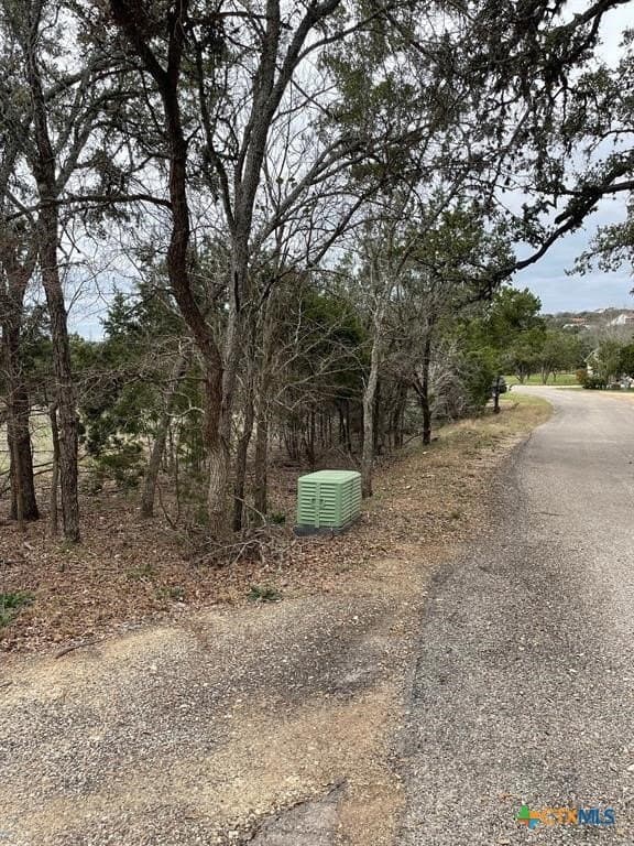 0.29 acres in Hays County - photo 3