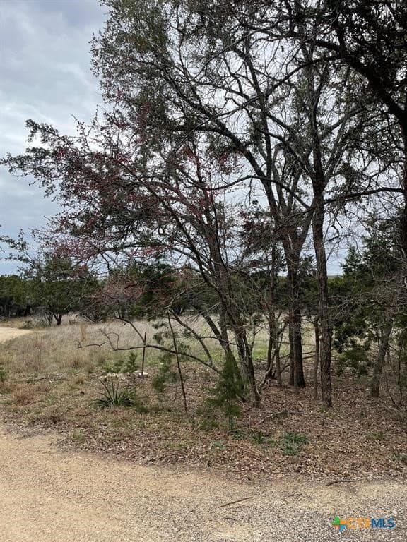 0.29 acres in Hays County - photo 2