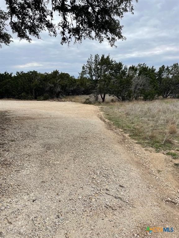 0.29 acres in Hays County - photo 4