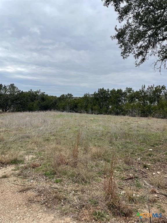 0.29 acres in Hays County - photo 5