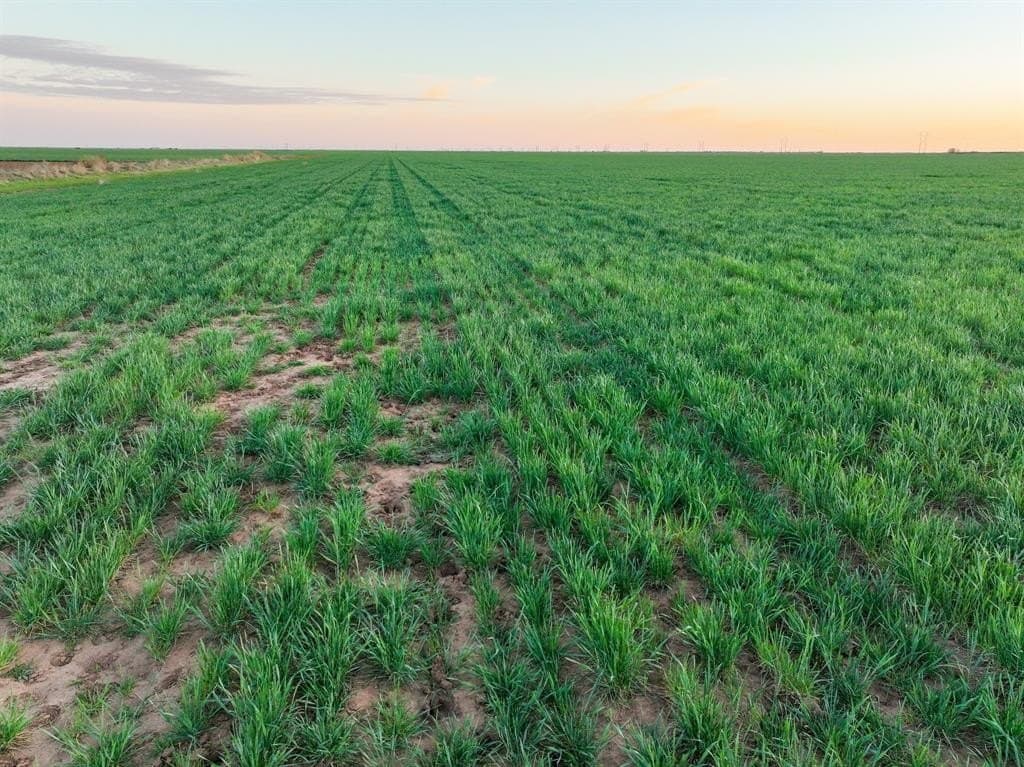 159 acres in Knox County - photo 8