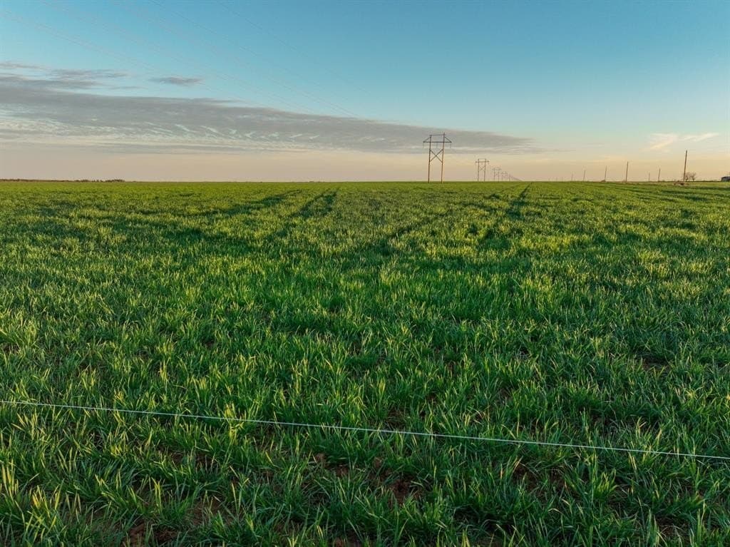 159 acres in Knox County - photo 22
