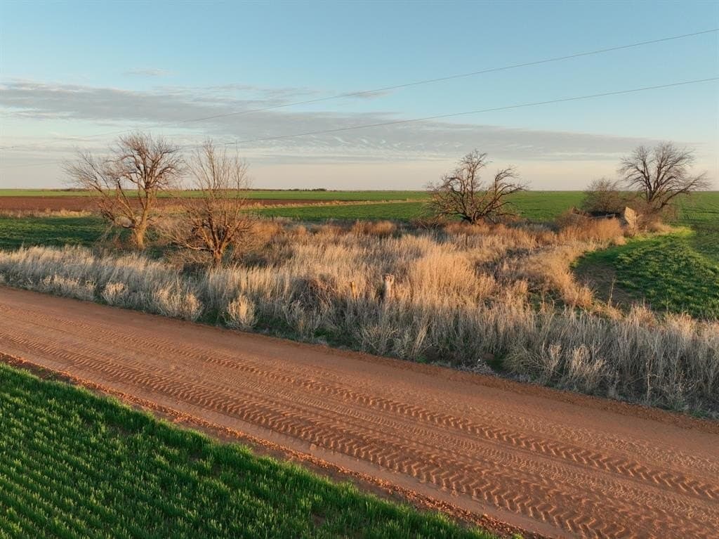 159 acres in Knox County - photo 17