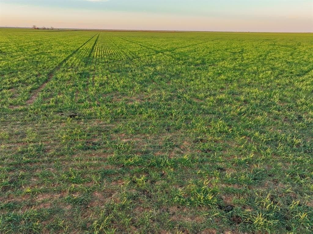 159 acres in Knox County - photo 31