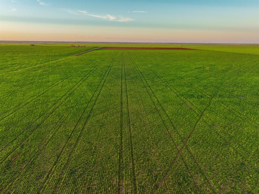 159 acres in Knox County - photo 11