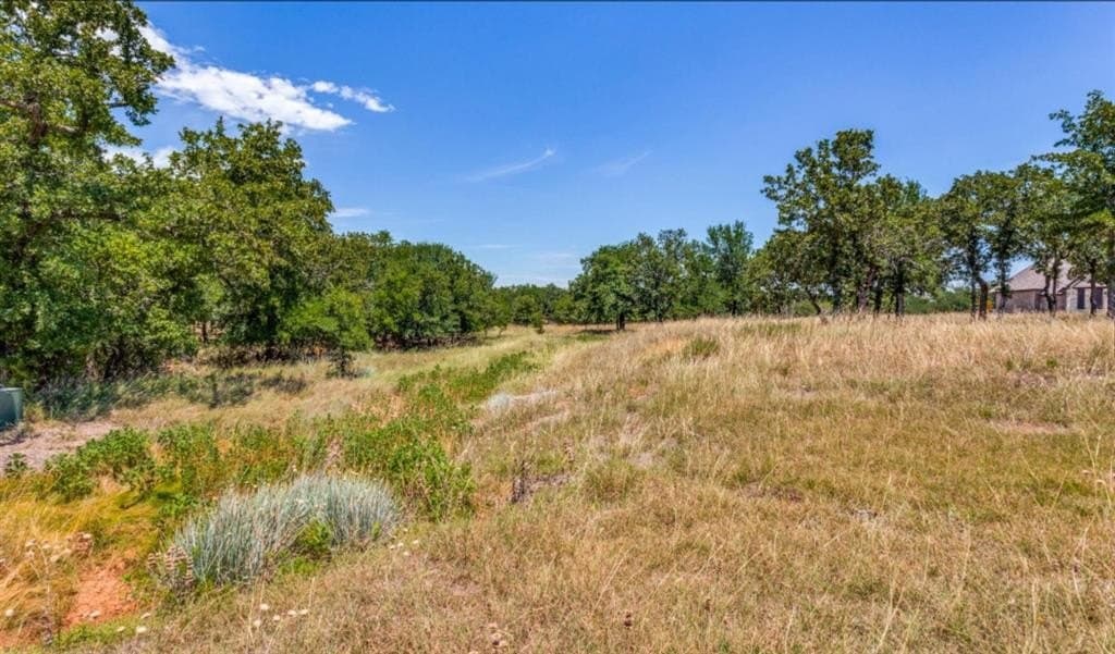 3.26 acres in Parker County - photo 4