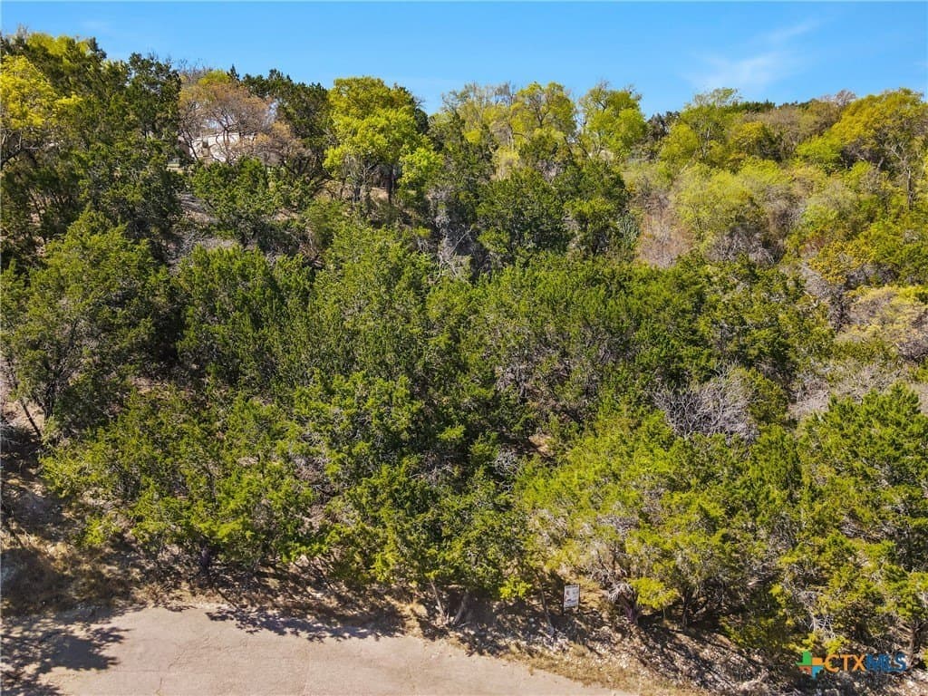 0.26 acres in Bell County - photo 5