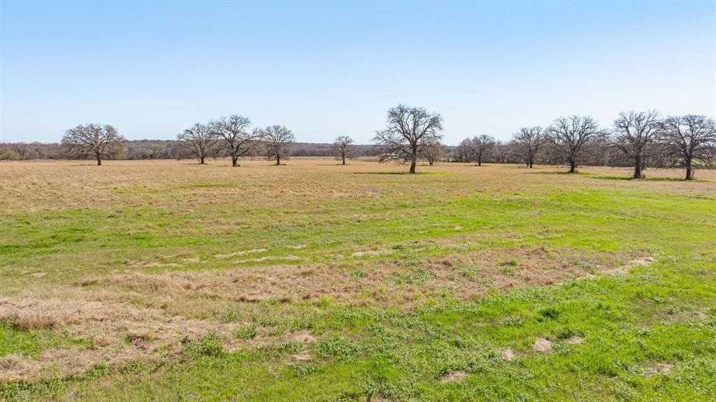 21.96 acres in Erath County - photo 2