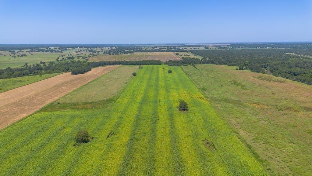 15.23 acres in Washington County - photo 7