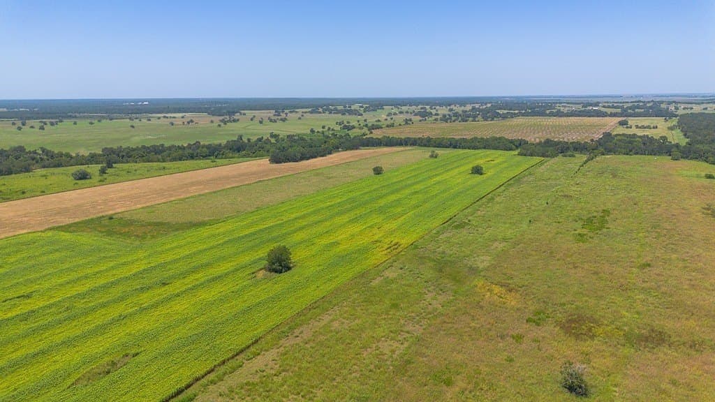 15.23 acres in Washington County - photo 6