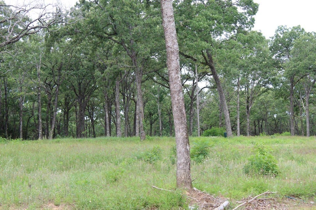 5.21 acres in Henderson County - photo 7