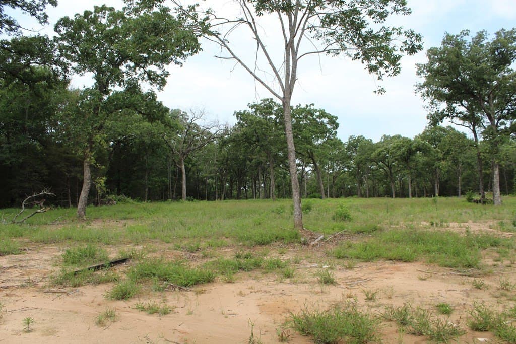 5.21 acres in Henderson County - photo 6