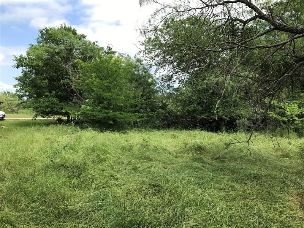 0.31 acres in Hill County - photo 12