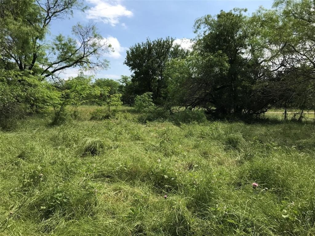 0.31 acres in Hill County - photo 5