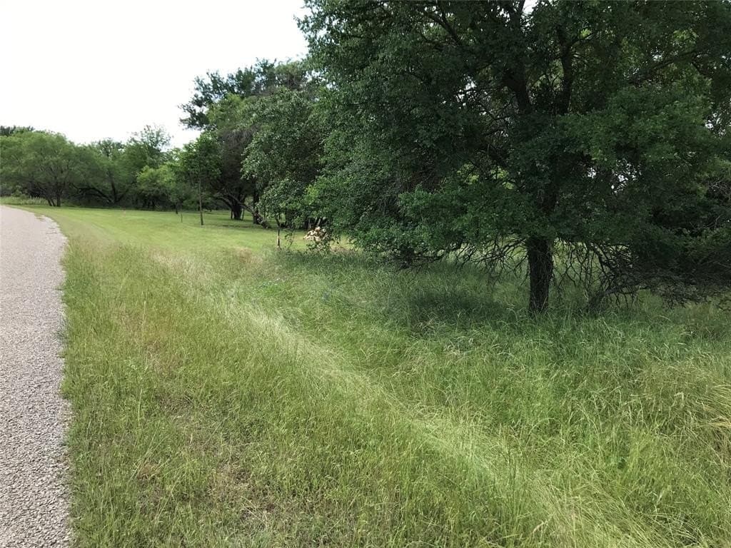 0.31 acres in Hill County - photo 30