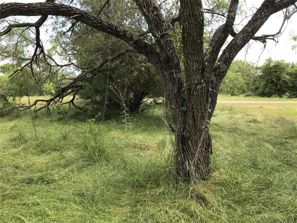 0.31 acres in Hill County - photo 15