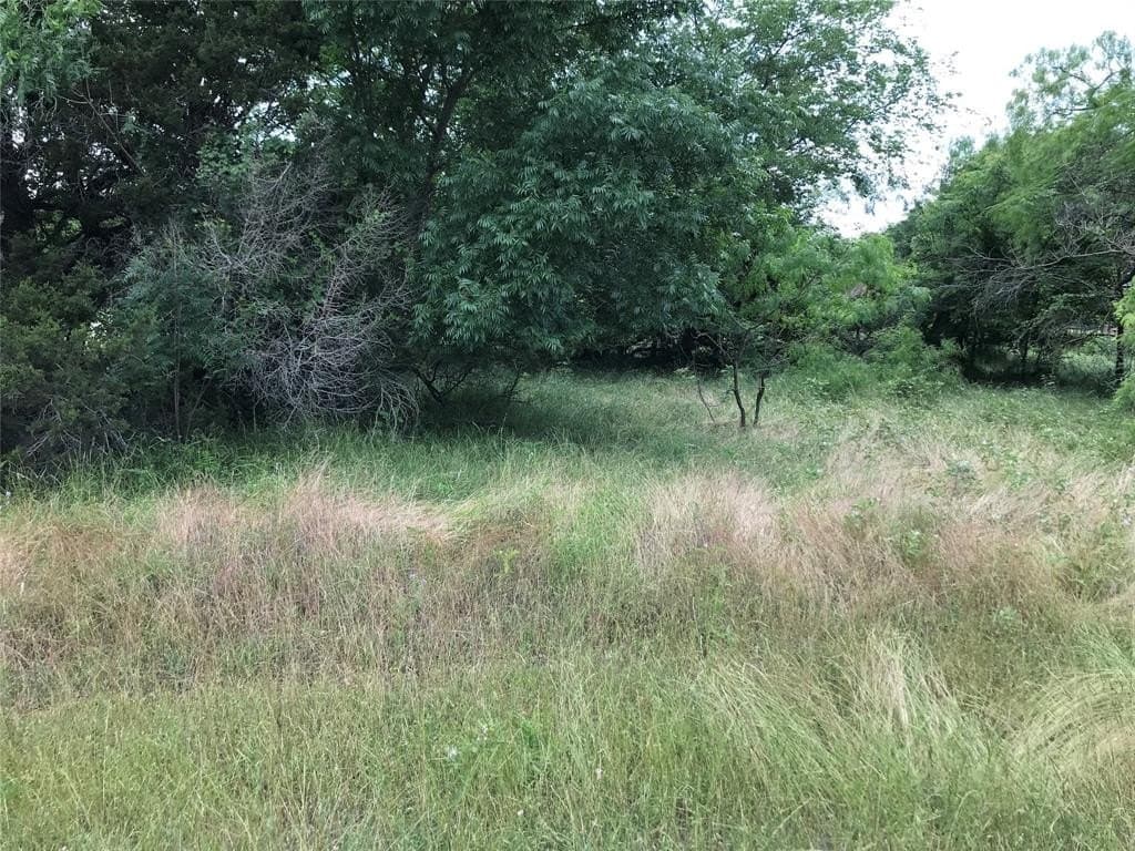 0.31 acres in Hill County - photo 32