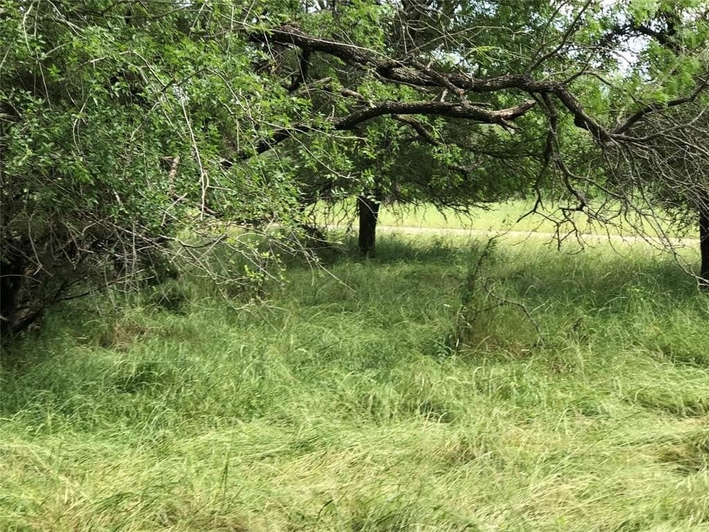 0.31 acres in Hill County - photo 16