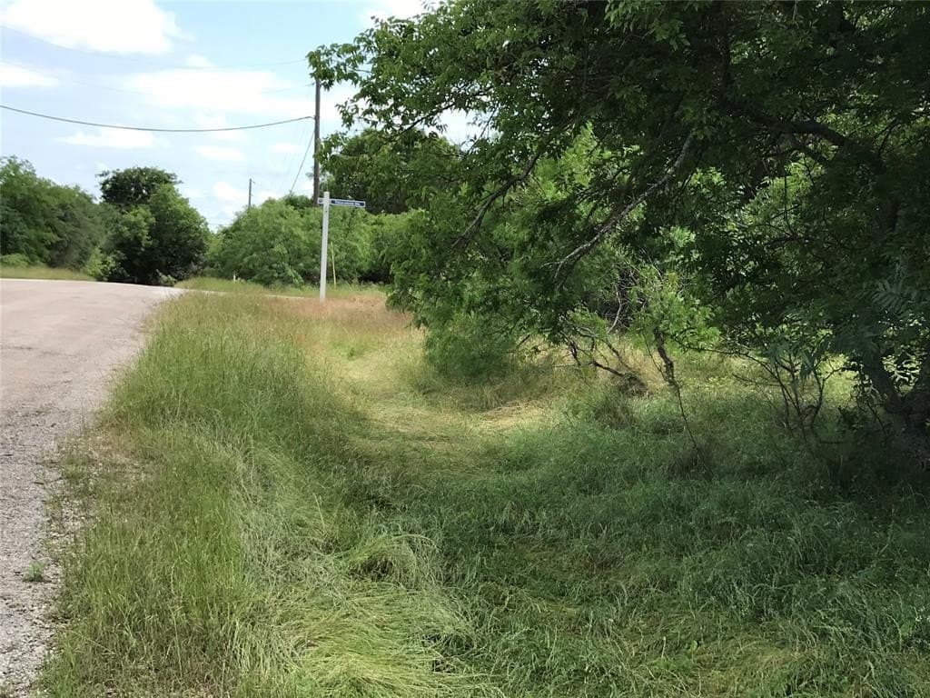 0.31 acres in Hill County - photo 2