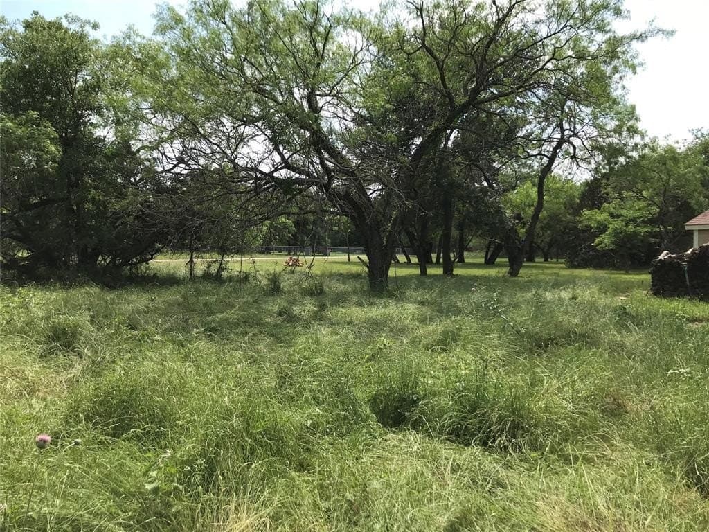 0.31 acres in Hill County - photo 3