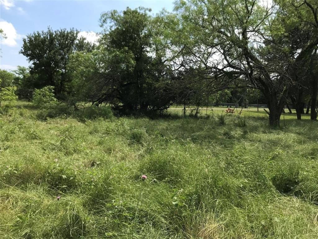 0.31 acres in Hill County - photo 4