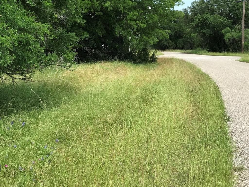 0.31 acres in Hill County - photo 20
