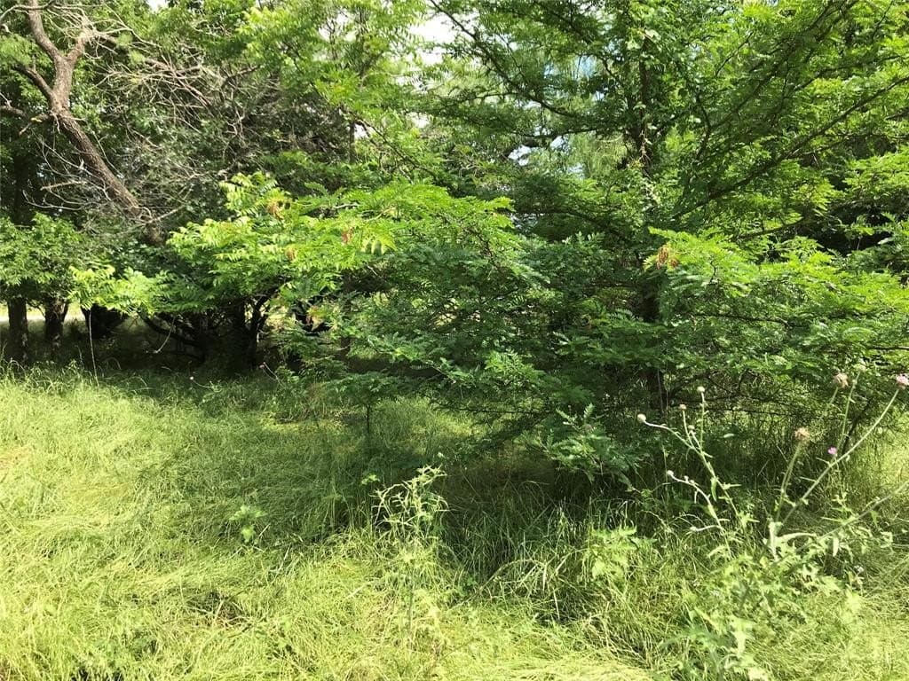 0.31 acres in Hill County - photo 9