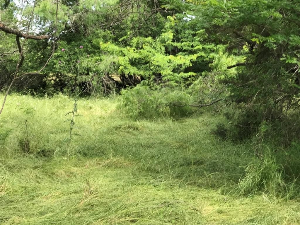 0.31 acres in Hill County - photo 18