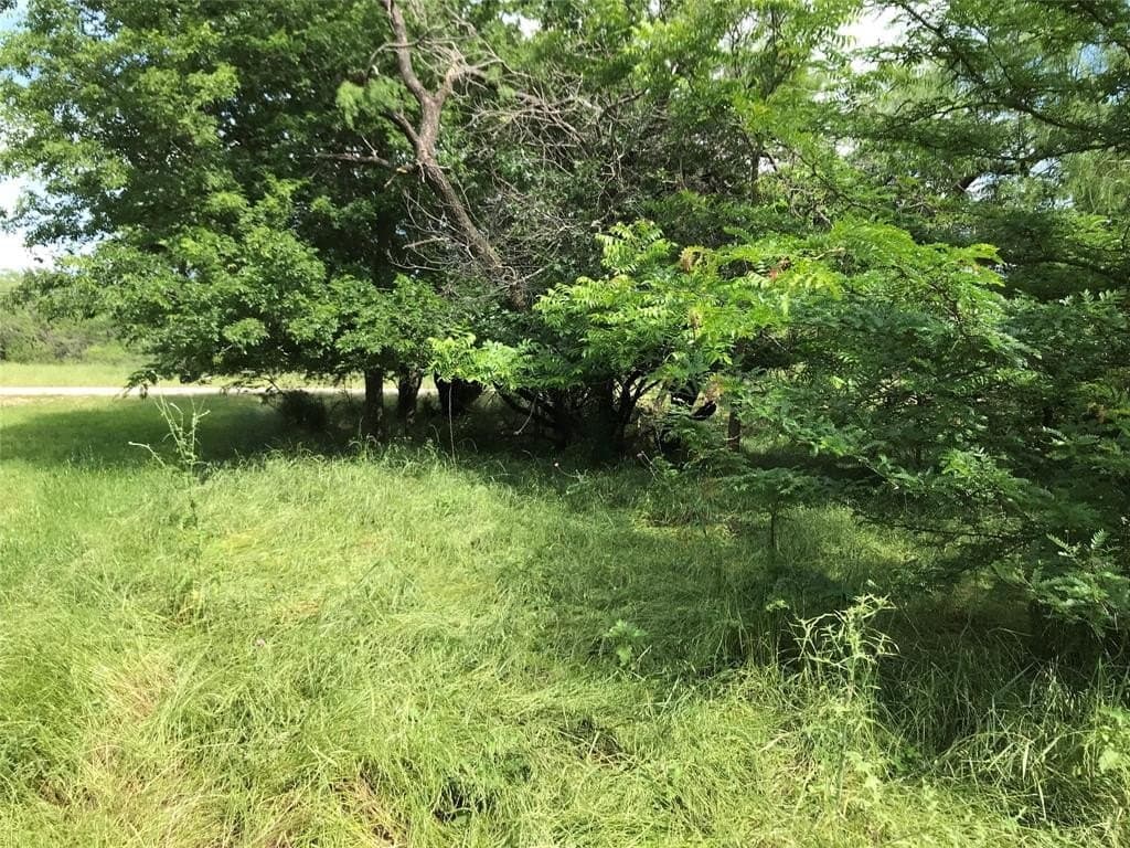 0.31 acres in Hill County - photo 10