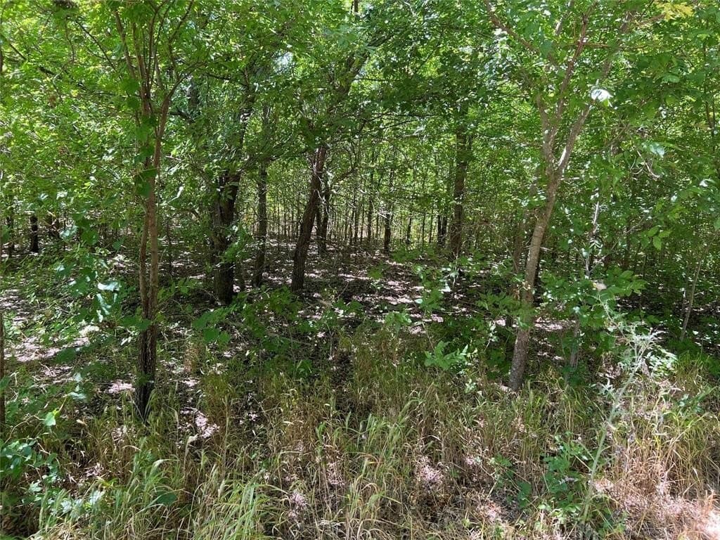 11.36 acres in Grayson County - photo 4