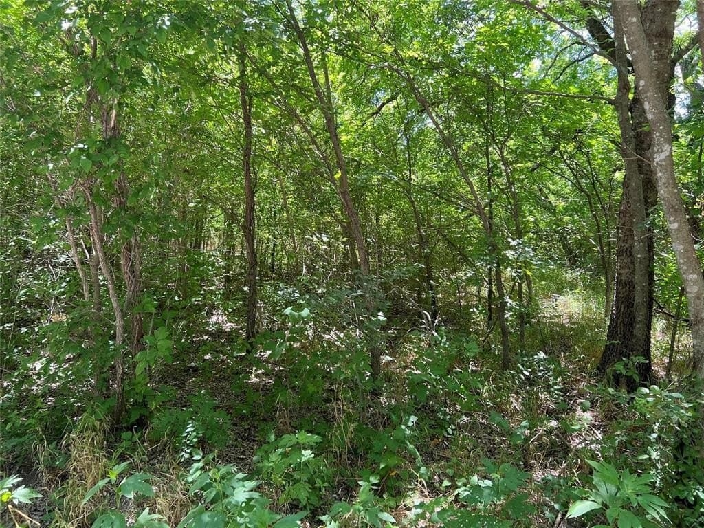 11.36 acres in Grayson County - photo 7