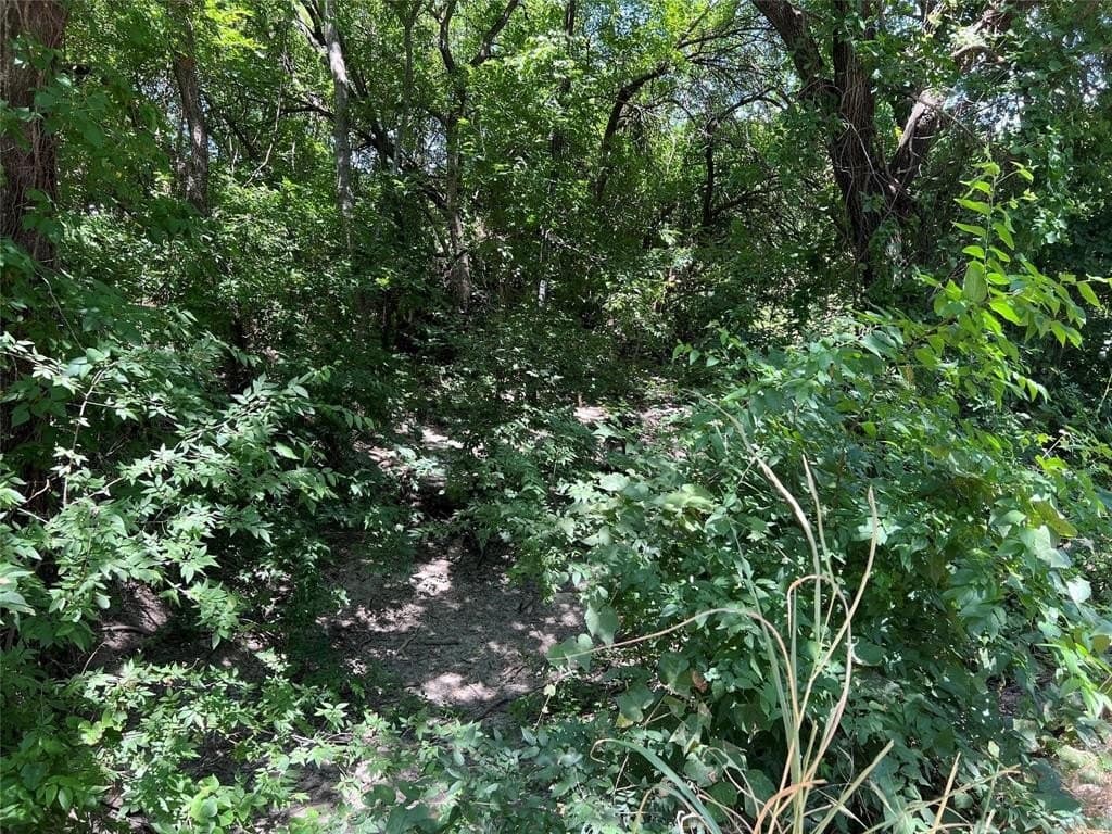 11.36 acres in Grayson County - photo 8