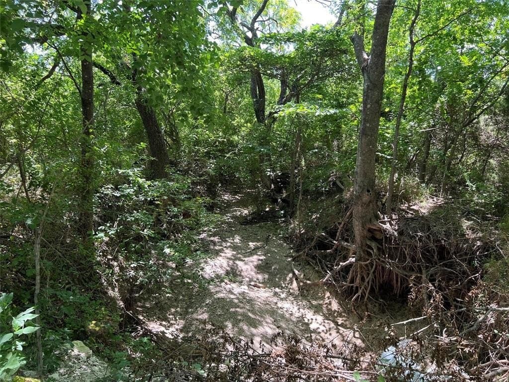 11.36 acres in Grayson County - photo 6