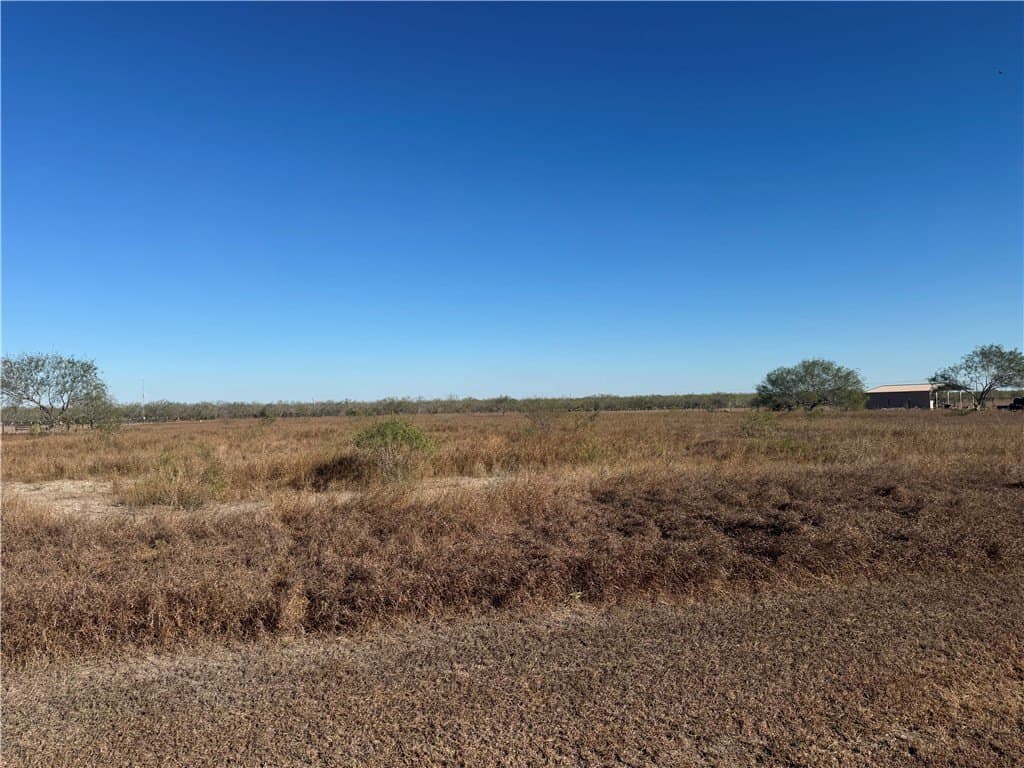 4 acres in Jim Wells County - photo 3