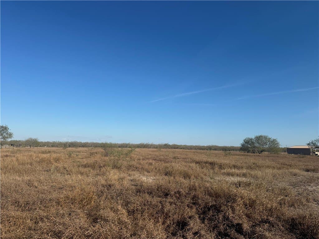 4 acres in Jim Wells County - photo 4