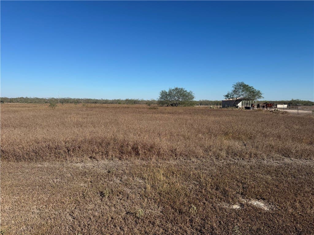 4 acres in Jim Wells County - photo 2