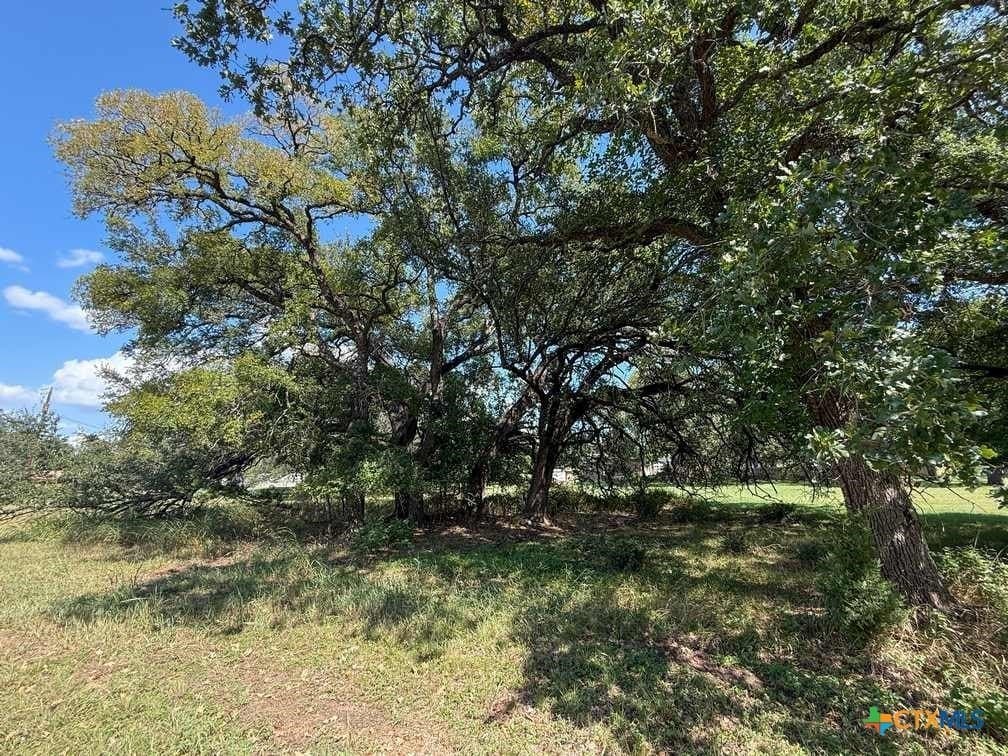 7 acres in Coryell County - photo 12