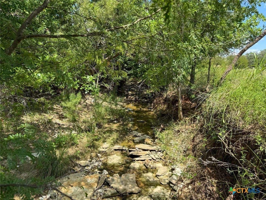 7 acres in Coryell County - photo 7