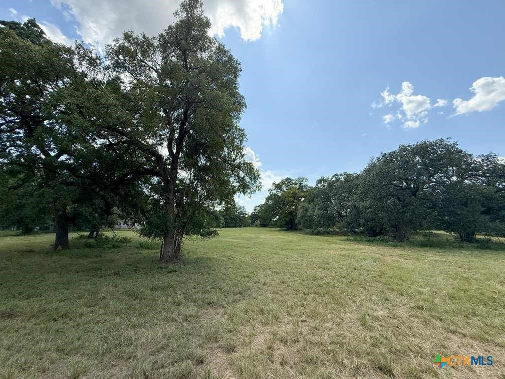 7 acres in Coryell County - photo 5