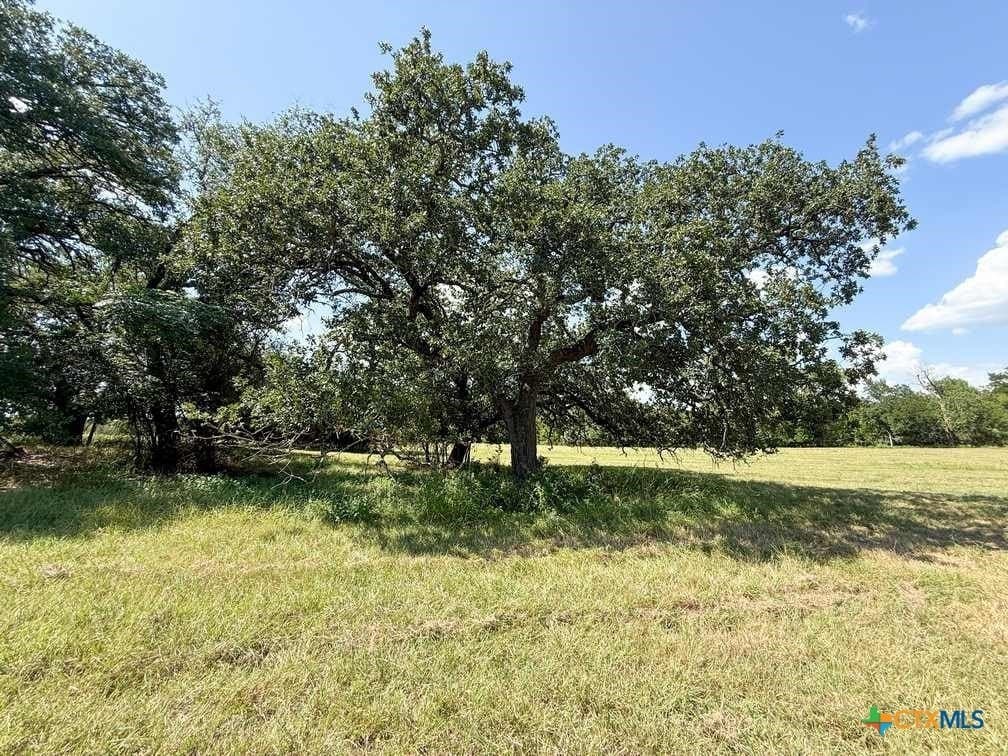 7 acres in Coryell County - photo 27