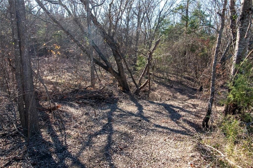 1.89 acres in Fannin County - photo 3