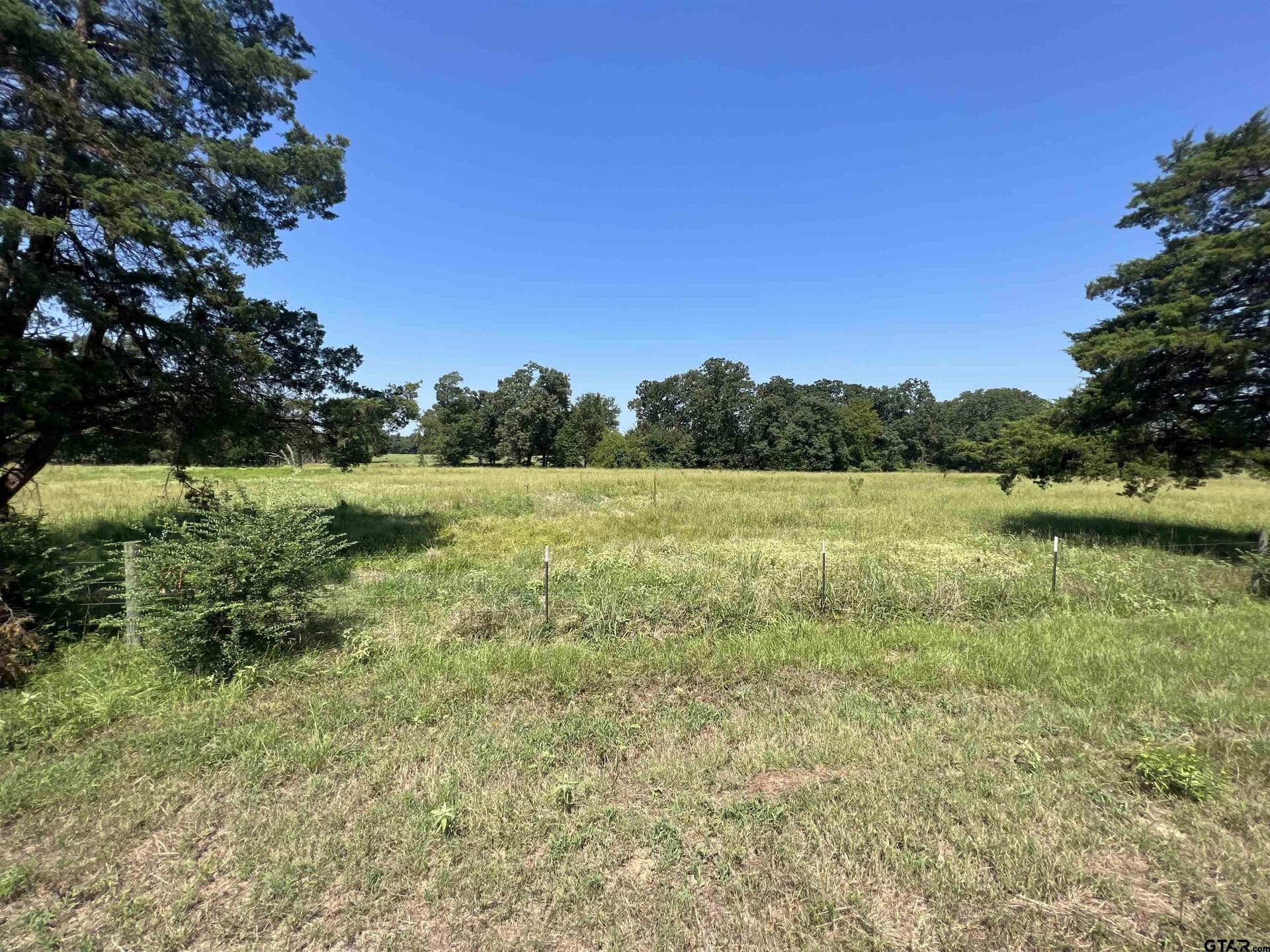 10 acres in Titus County - photo 4