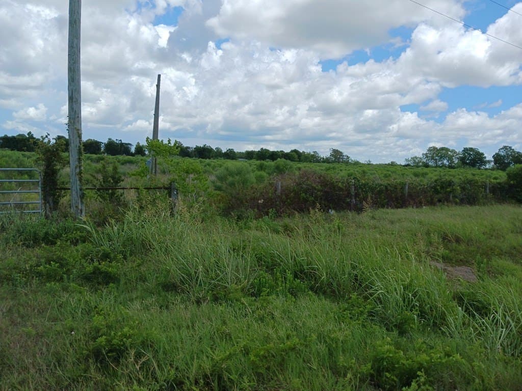 15.79 acres in Texas County - photo 5
