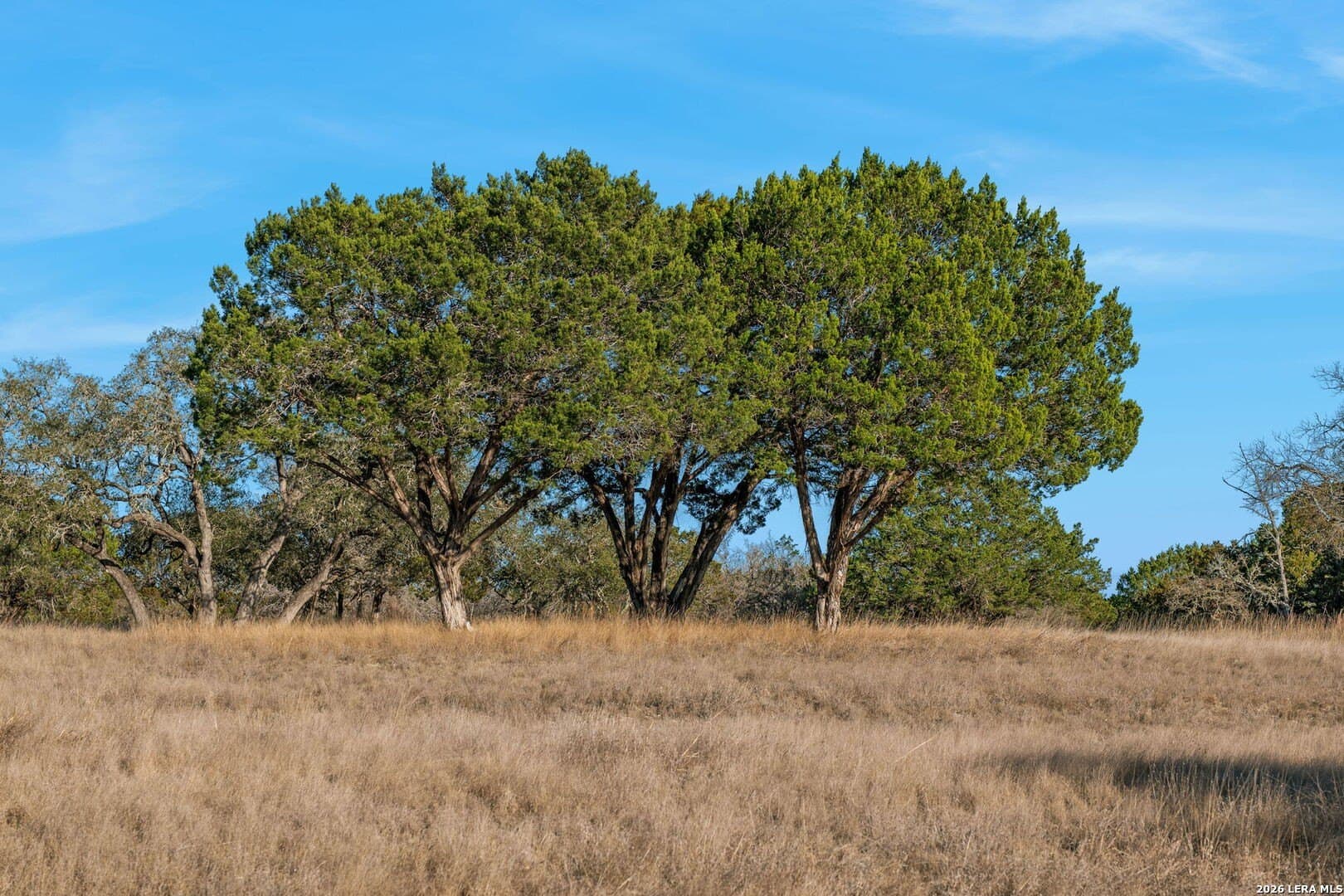 60.69 acres in Kerr County - photo 64