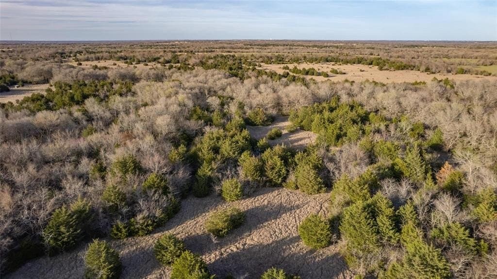 46.04 acres in Hunt County - photo 3