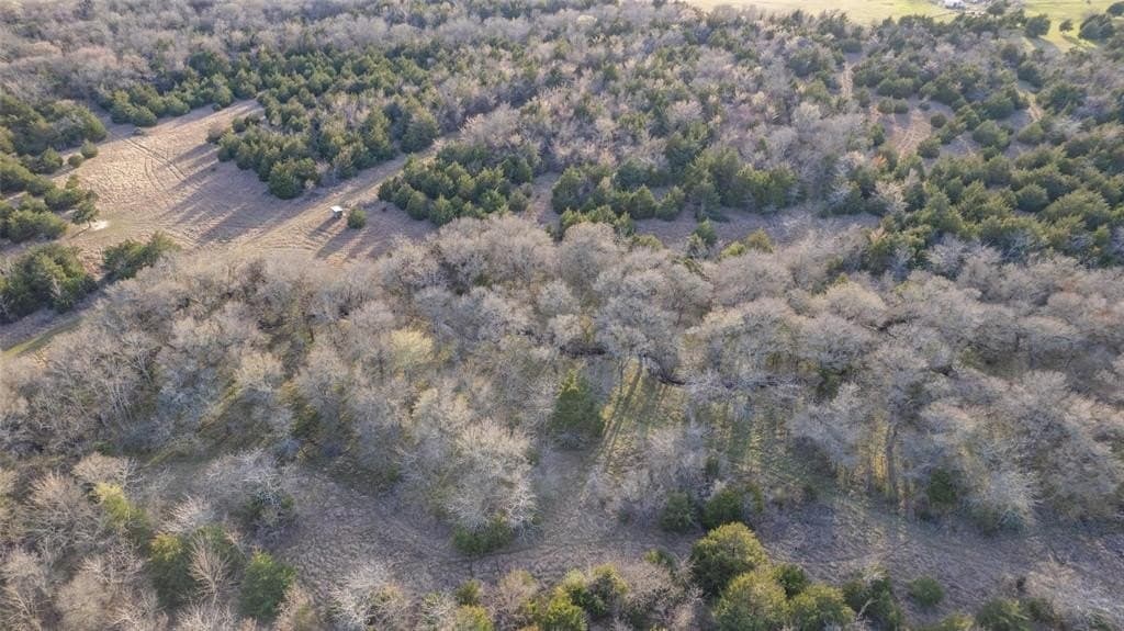 46.04 acres in Hunt County - photo 7